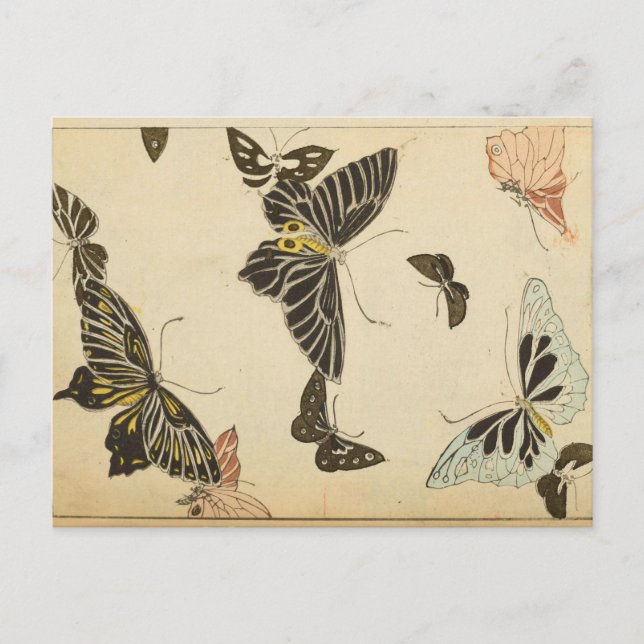 Vintage Butterfly Collage Postcard (Front)