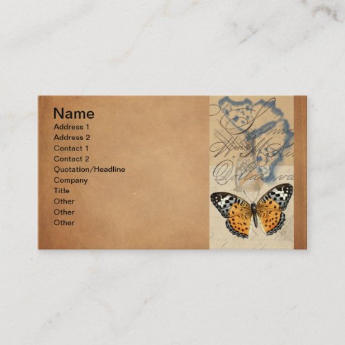 Vintage Butterfly Collection Business Card