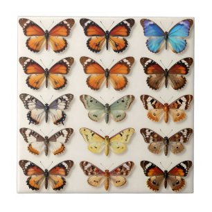 Vintage Butterfly Collection Grid Display Ceramic Tile
