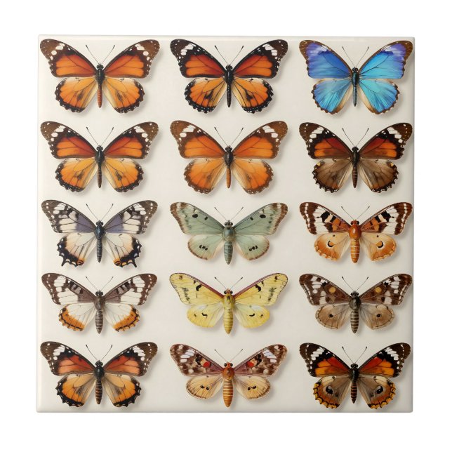 Vintage Butterfly Collection Grid Display Ceramic Tile (Front)