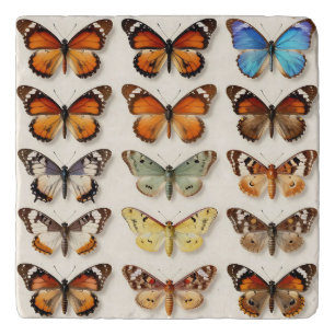 Vintage Butterfly Collection Grid Display Trivet