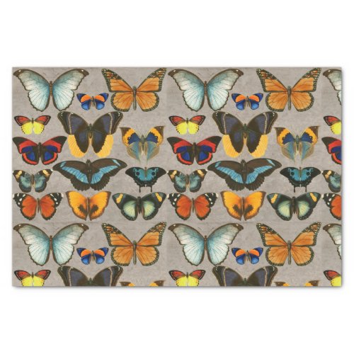 Vintage Butterfly Colorful Entomology Decoupage Tissue Paper