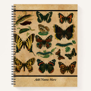 Vintage Butterfly Customizable Name  Notebook