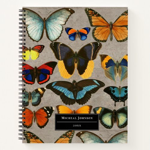 Vintage Butterfly Entomology Colorful Rustic Notebook