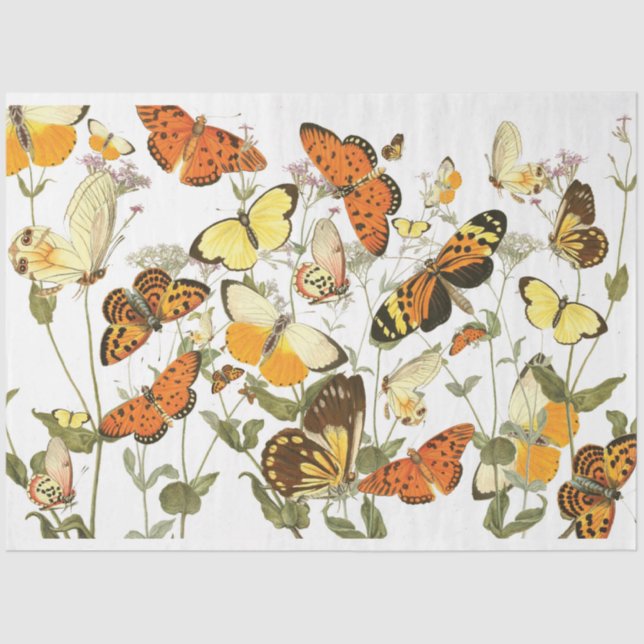 Vintage Butterfly Garden Tissue Paper (Front)