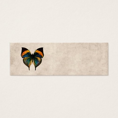 Vintage Butterfly Illustration 1800's Butterflies Business Card Templates