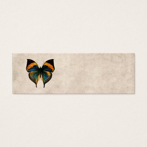 Customizable Vintage Butterfly Illustration 1800's Butterflies Business Card Templates