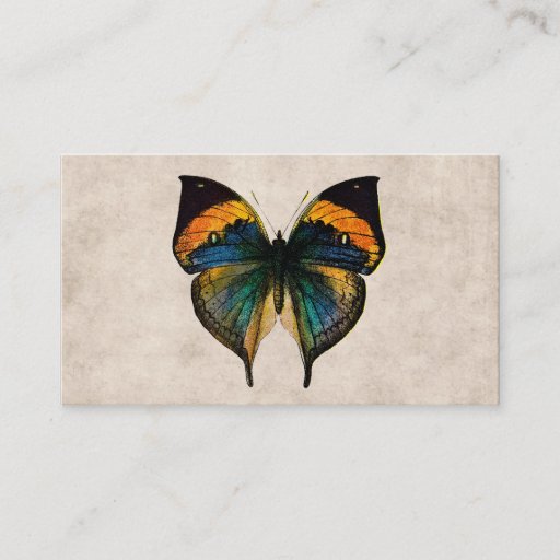 Customizable Vintage Butterfly Illustration 1800's Butterflies Business Card