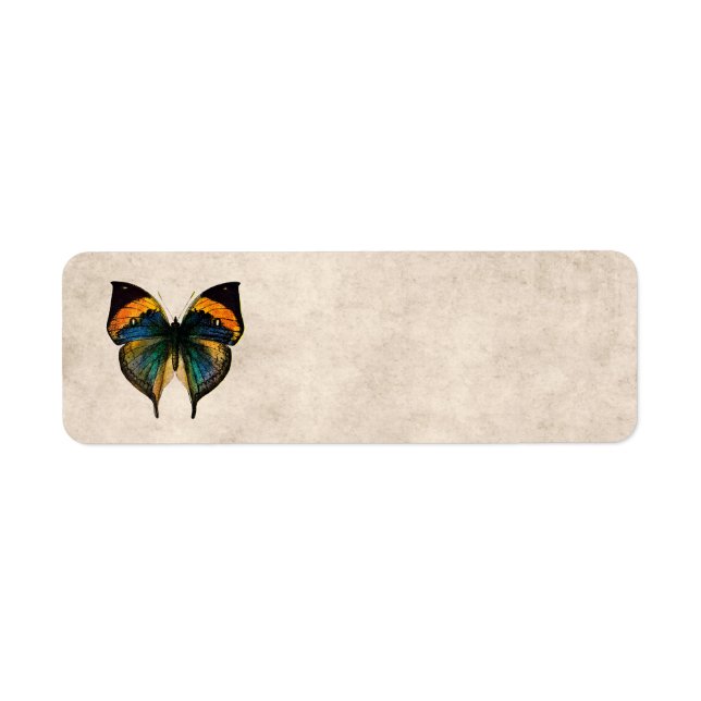 Vintage Butterfly Illustration 1800's Butterflies Label (Front)
