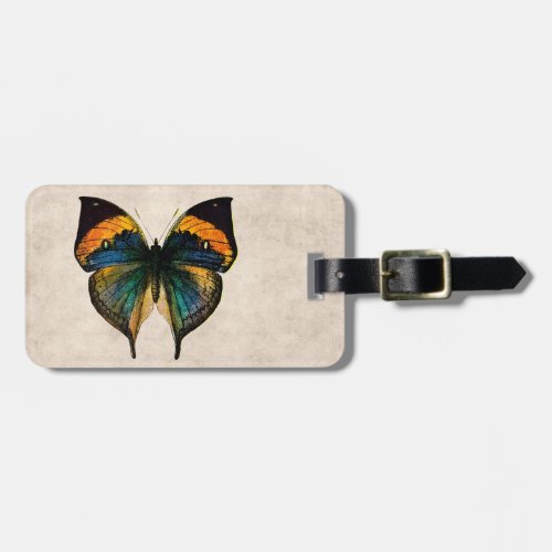Vintage Butterfly Illustration 1800s Butterflies Luggage Tag