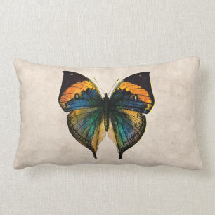 Vintage Butterfly Illustration 1800's Butterflies Lumbar Pillow