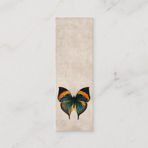Customizable Vintage Butterfly Illustration 1800's Butterflies Business Card