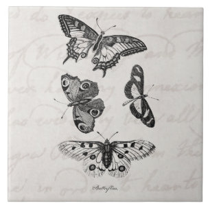 Vintage Butterfly Illustration 1800s Butterflies Tile