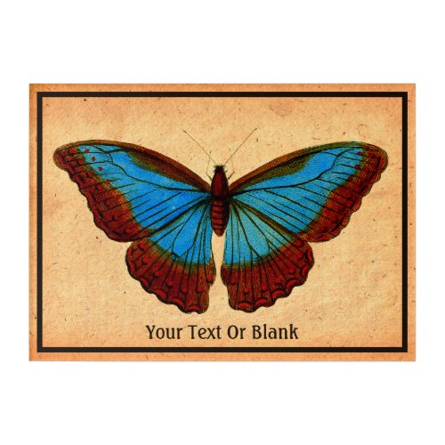 Vintage Butterfly Illustration Acrylic Print