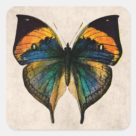 vintage butterfly illustration butterflies square sticker zazzlecom