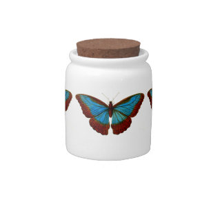 Vintage Butterfly Illustration Candy Jar