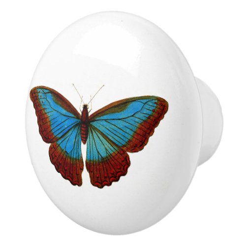 Vintage Butterfly Illustration Ceramic Knob