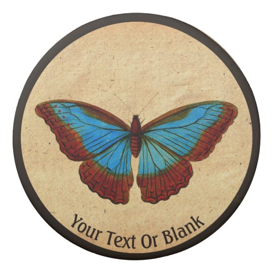 Vintage Butterfly Illustration Eraser