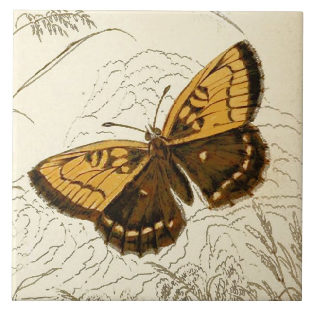 Vintage Butterfly Illustration, Gold and Brown Ceramic Tile (Front)