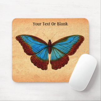 Vintage Butterfly Illustration