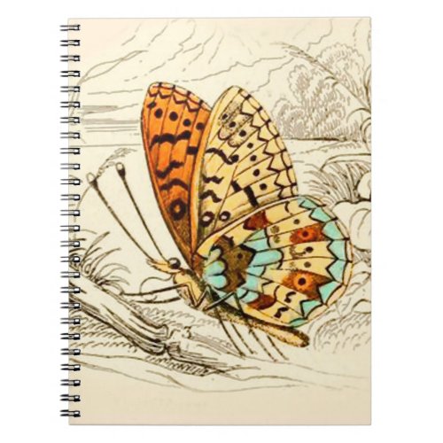 Vintage Butterfly Illustration Orange and Beige Notebook