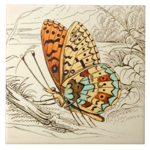 Vintage Butterfly Illustration Orange and Beige Tile