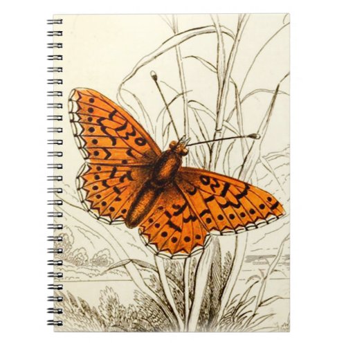 Vintage Butterfly Illustration Orange and Black Notebook
