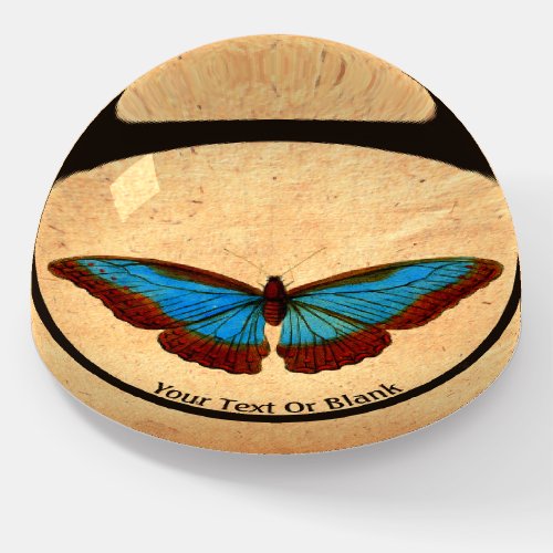 Vintage Butterfly Illustration Paperweight