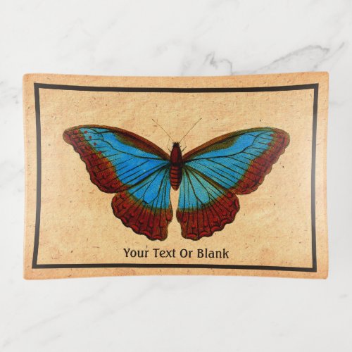 Vintage Butterfly Illustration Trinket Tray