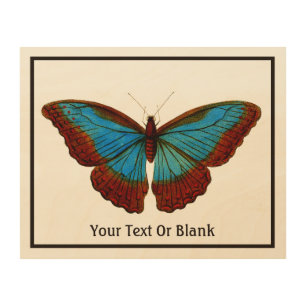 Vintage Butterfly Illustration Wood Wall Art