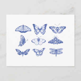 Vintage Butterfly Illustrations in Blue  Postcard