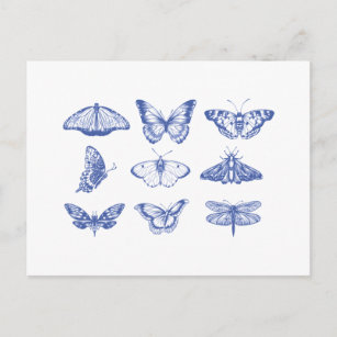 Vintage Butterfly Illustrations in Blue  Postcard