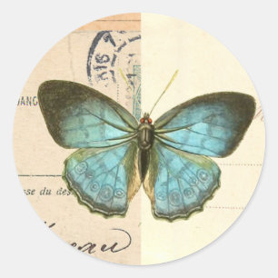 Vintage butterfly in blue beautiful trendy sticker