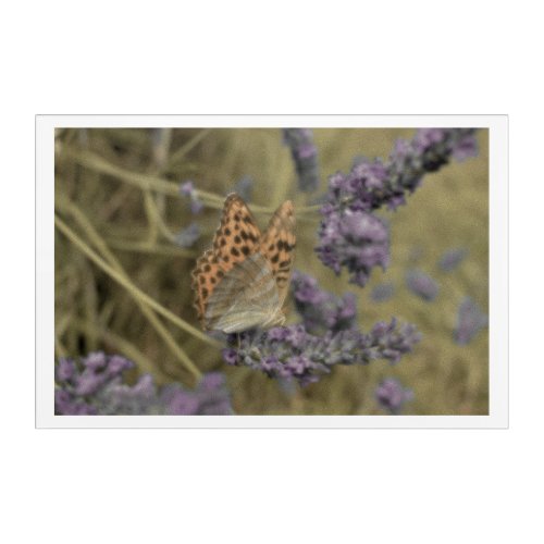 Vintage Butterfly in Lavender Field Wall Art