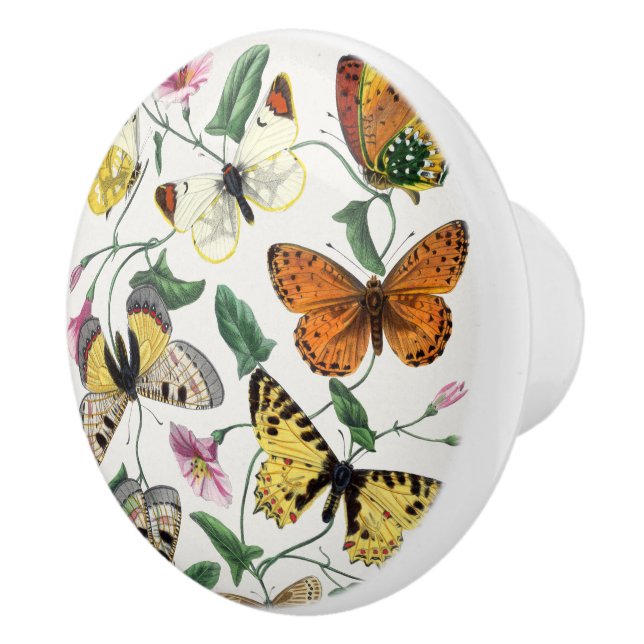Vintage Butterfly & Moth  Ceramic Knob (Right)