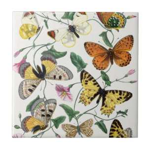 Vintage Butterfly & Moth Ceramic Tile