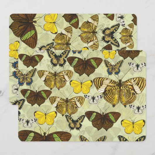Vintage Butterfly Moth Chart Pattern (Front/Back)