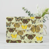Vintage Butterfly Moth Chart Pattern (Standing Front)