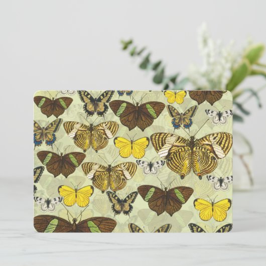Vintage Butterfly Moth Chart Pattern (Standing Front)
