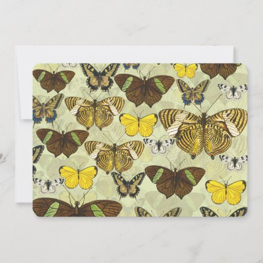 Vintage Butterfly Moth Chart Pattern (Front)