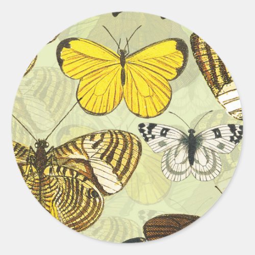 Vintage Butterfly Moth Chart Pattern Classic Round Sticker