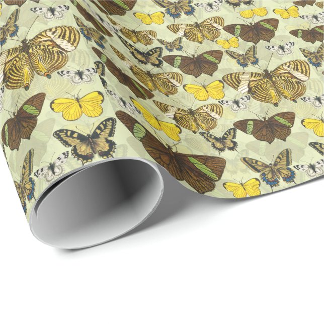Vintage Butterfly Moth Chart Pattern Wrapping Paper (Roll Corner)