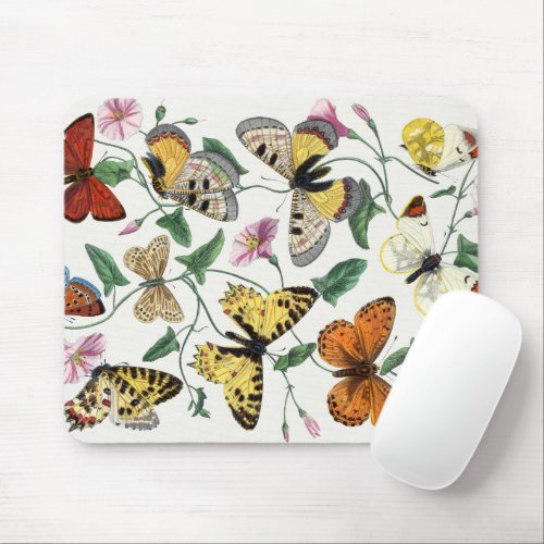 Vintage Butterfly  Moth  Mouse Pad