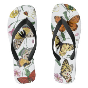 Vintage Butterfly & Moth Painting Flip Flops