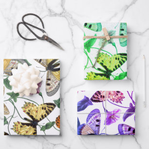 Vintage Butterfly & Moth Painting Wrapping Paper Sheets
