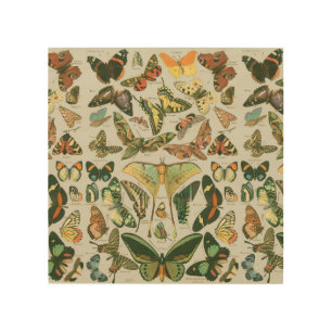 Vintage Butterfly Moth Pattern Print