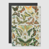Vintage Butterfly Moth Pattern Print (Front/Back)