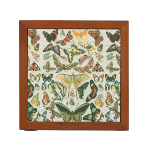 Vintage Butterfly Moth Pattern Print Desk Organizer