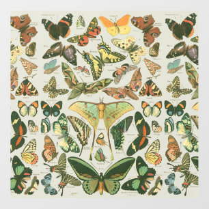 Vintage Butterfly Moth Pattern Print Floor Decals