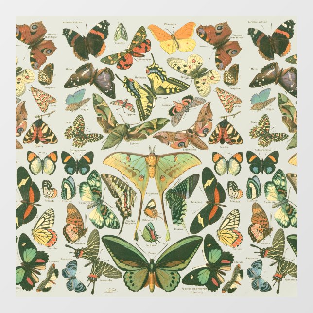 Vintage Butterfly Moth Pattern Print Floor Decals (Front)